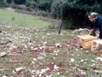 IMG-20160411-WA0002